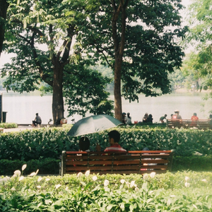 性欧美成人免费观看视
