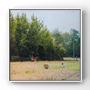 性欧美成人免费观看视
